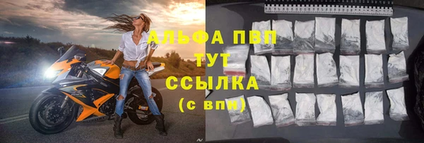 стаф Аркадак