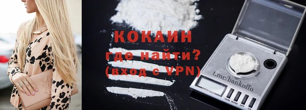 стаф Аркадак