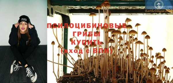 героин Михайлов