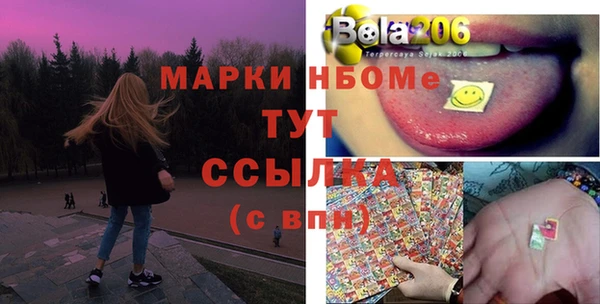 стаф Аркадак