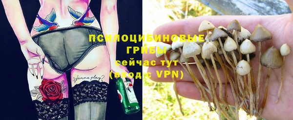 альфа пвп Армянск